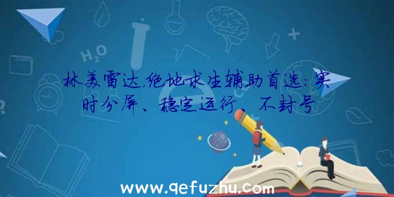 林美雷达，绝地求生辅助首选：实时分屏、稳定运行、不封号