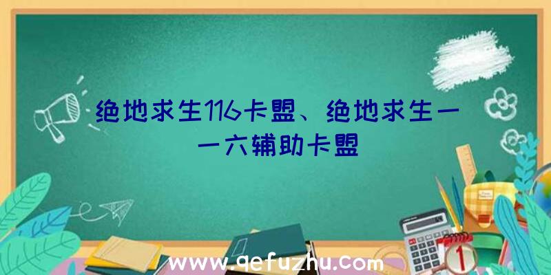 绝地求生116卡盟、绝地求生一一六辅助卡盟