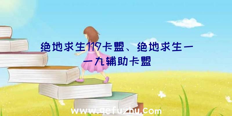 绝地求生119卡盟、绝地求生一一九辅助卡盟