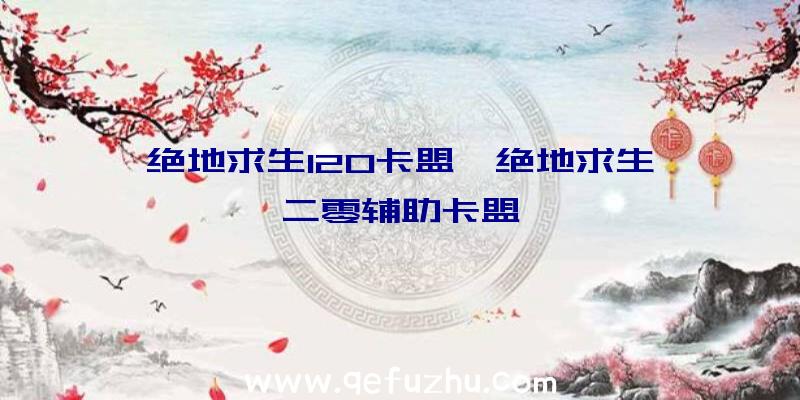 绝地求生120卡盟、绝地求生一二零辅助卡盟