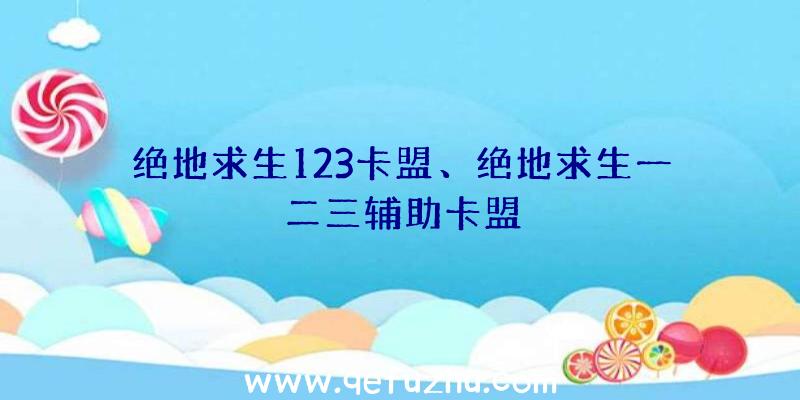 绝地求生123卡盟、绝地求生一二三辅助卡盟