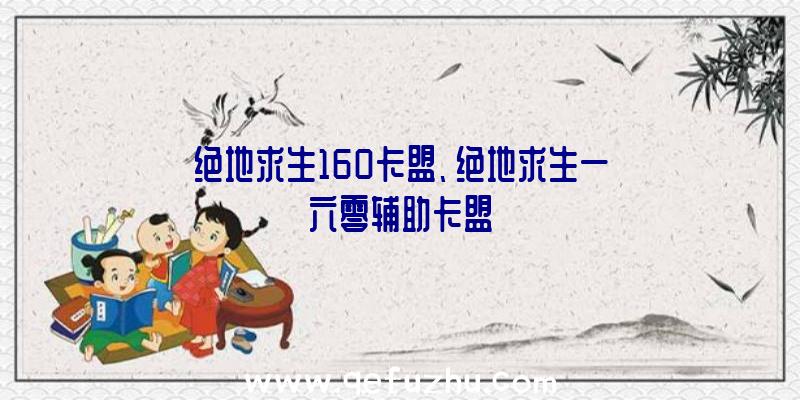 绝地求生160卡盟、绝地求生一六零辅助卡盟