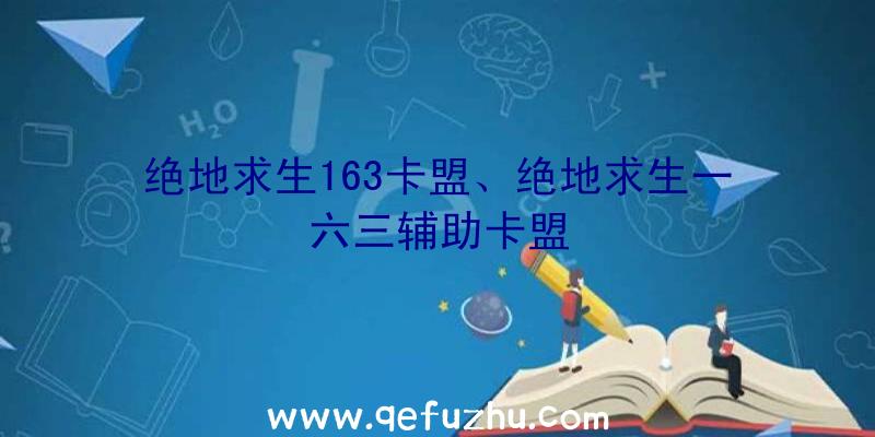 绝地求生163卡盟、绝地求生一六三辅助卡盟