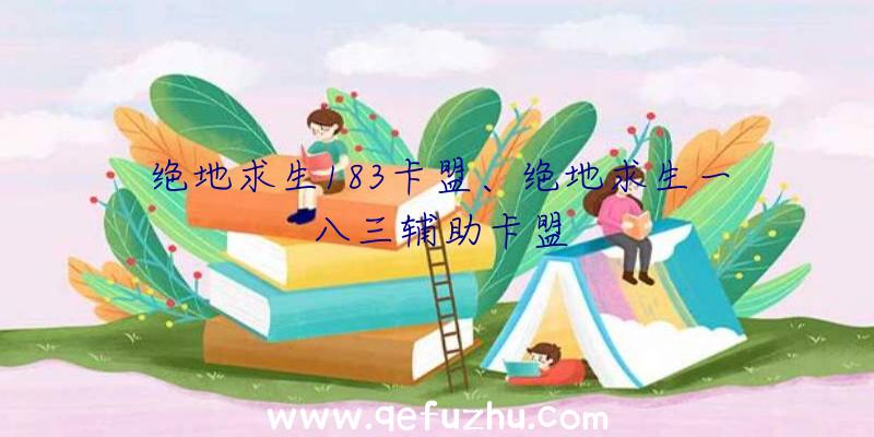 绝地求生183卡盟、绝地求生一八三辅助卡盟