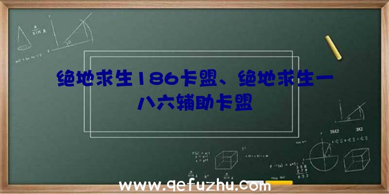 绝地求生186卡盟、绝地求生一八六辅助卡盟