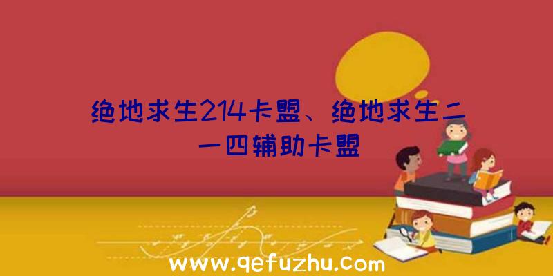 绝地求生214卡盟、绝地求生二一四辅助卡盟