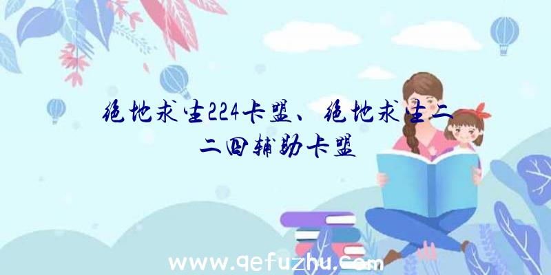 绝地求生224卡盟、绝地求生二二四辅助卡盟