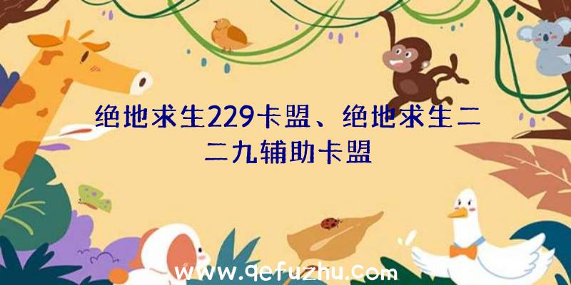 绝地求生229卡盟、绝地求生二二九辅助卡盟