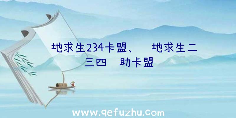 绝地求生234卡盟、绝地求生二三四辅助卡盟