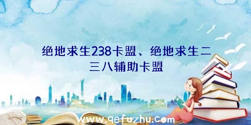 绝地求生238卡盟、绝地求生二三八辅助卡盟