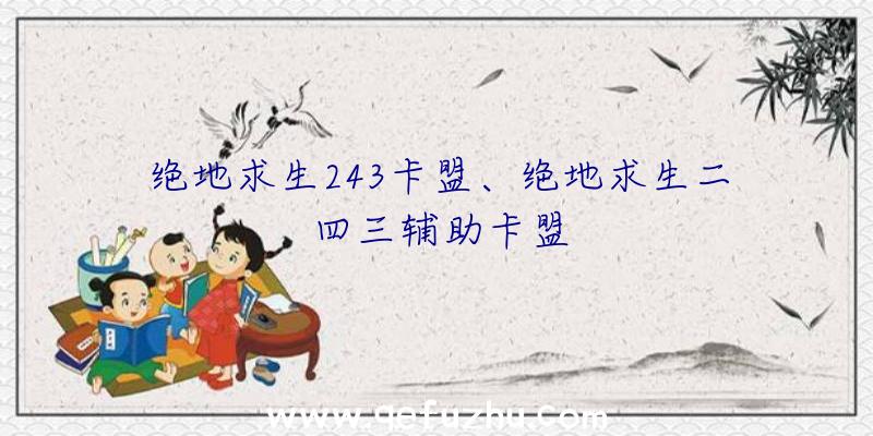 绝地求生243卡盟、绝地求生二四三辅助卡盟