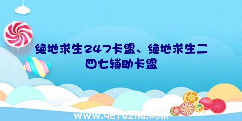 绝地求生247卡盟、绝地求生二四七辅助卡盟