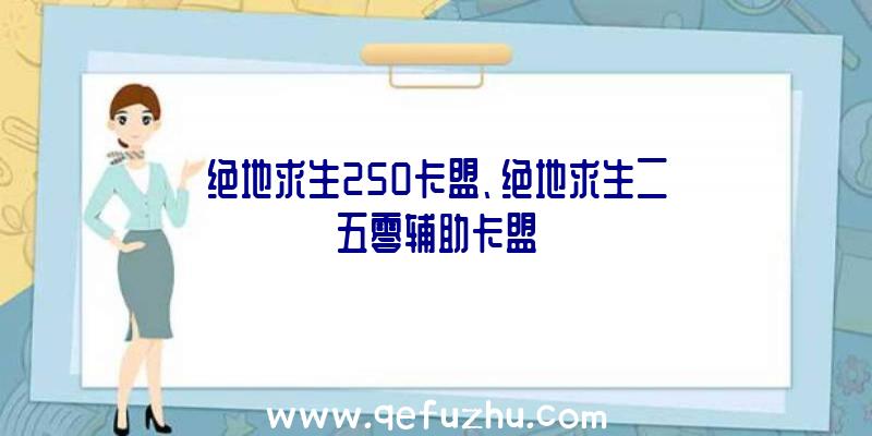 绝地求生250卡盟、绝地求生二五零辅助卡盟