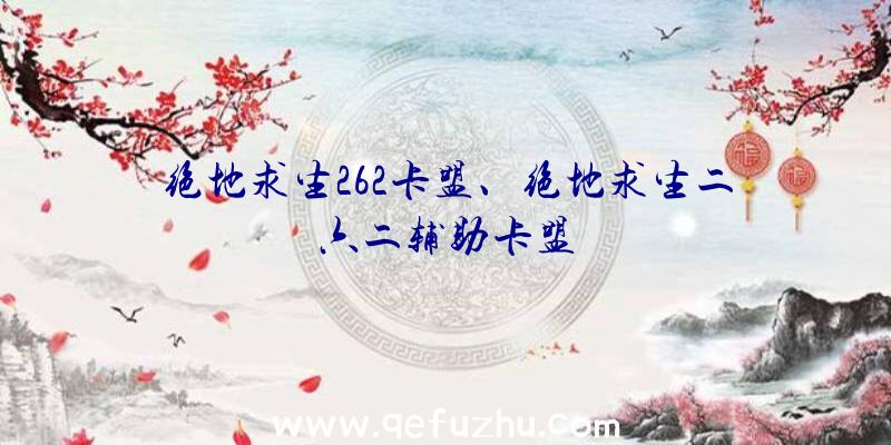 绝地求生262卡盟、绝地求生二六二辅助卡盟