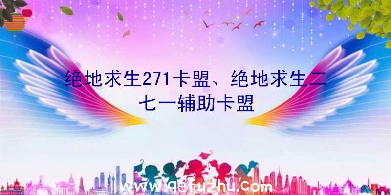 绝地求生271卡盟、绝地求生二七一辅助卡盟