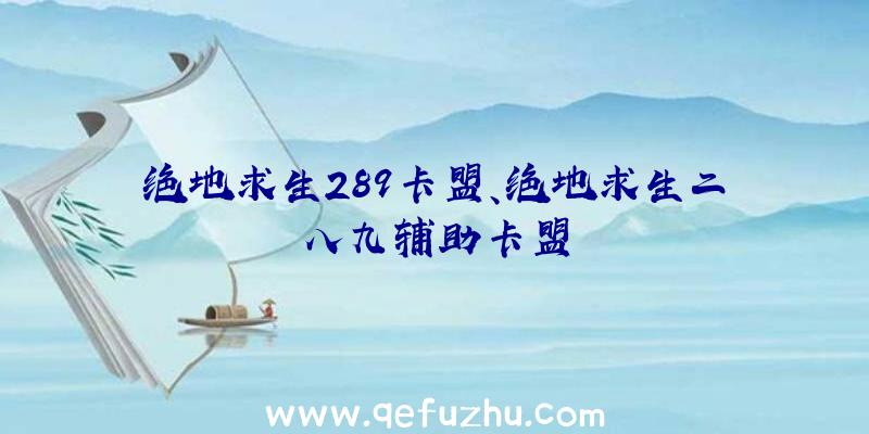 绝地求生289卡盟、绝地求生二八九辅助卡盟