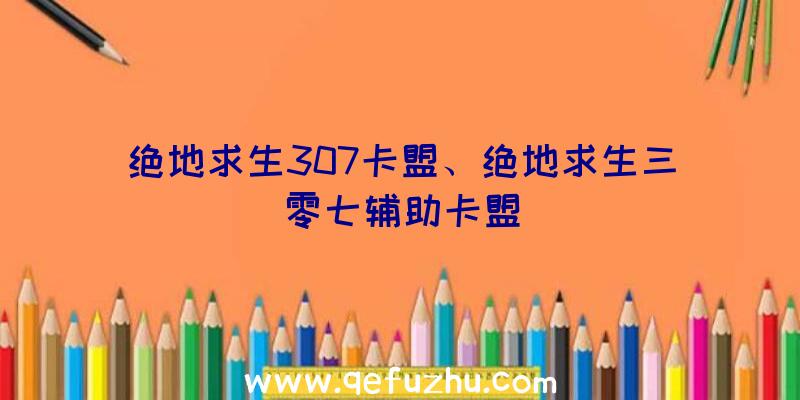 绝地求生307卡盟、绝地求生三零七辅助卡盟