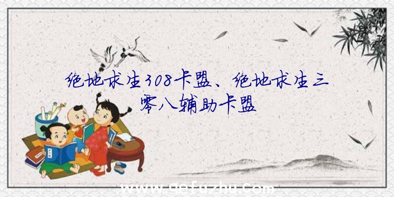 绝地求生308卡盟、绝地求生三零八辅助卡盟