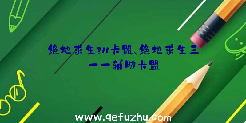 绝地求生311卡盟、绝地求生三一一辅助卡盟