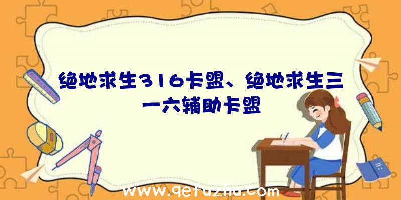 绝地求生316卡盟、绝地求生三一六辅助卡盟