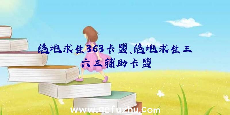 绝地求生363卡盟、绝地求生三六三辅助卡盟