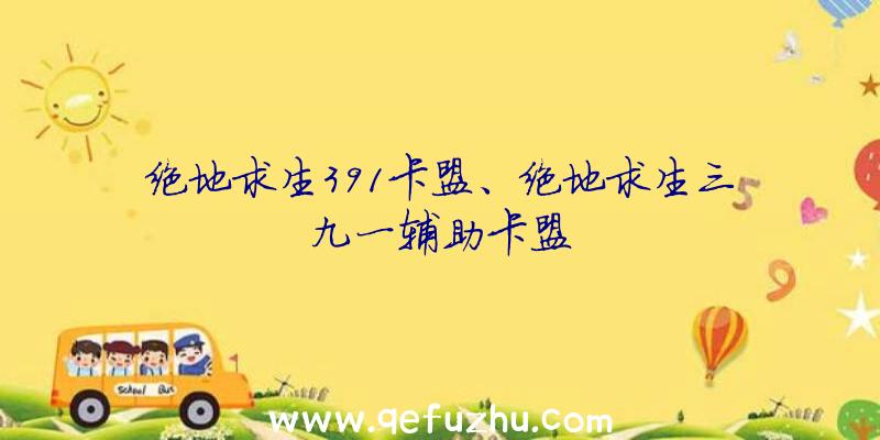 绝地求生391卡盟、绝地求生三九一辅助卡盟