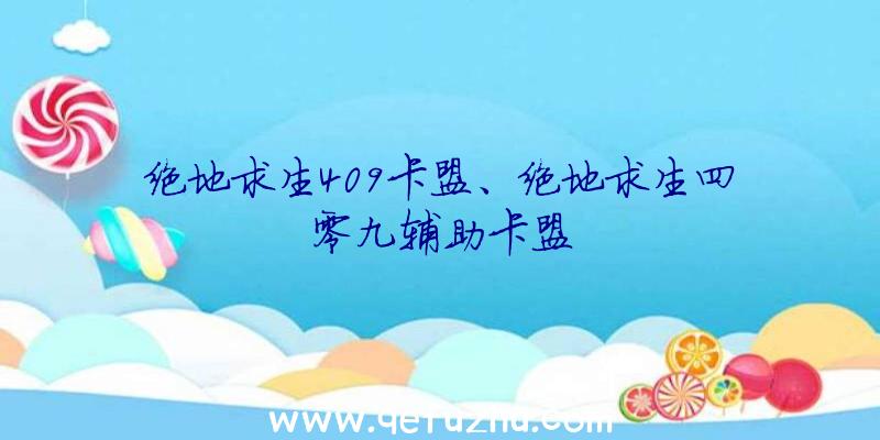 绝地求生409卡盟、绝地求生四零九辅助卡盟