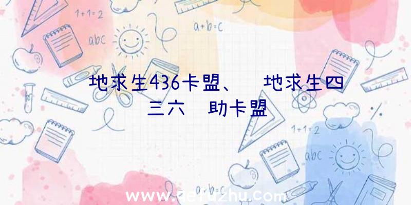 绝地求生436卡盟、绝地求生四三六辅助卡盟