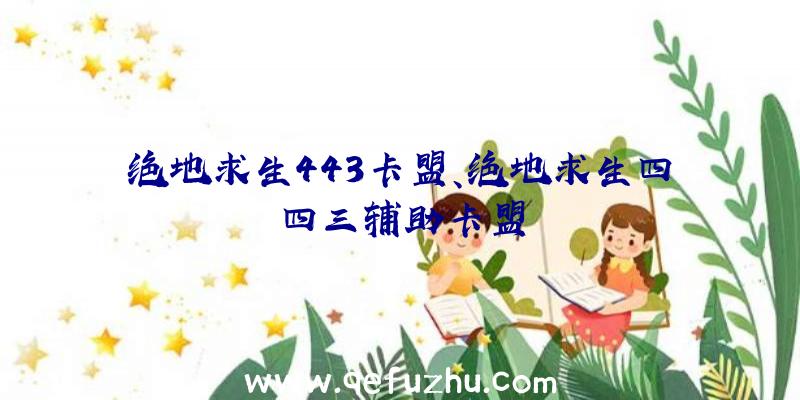 绝地求生443卡盟、绝地求生四四三辅助卡盟