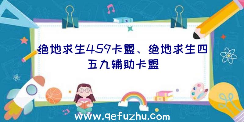 绝地求生459卡盟、绝地求生四五九辅助卡盟