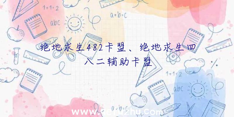 绝地求生482卡盟、绝地求生四八二辅助卡盟