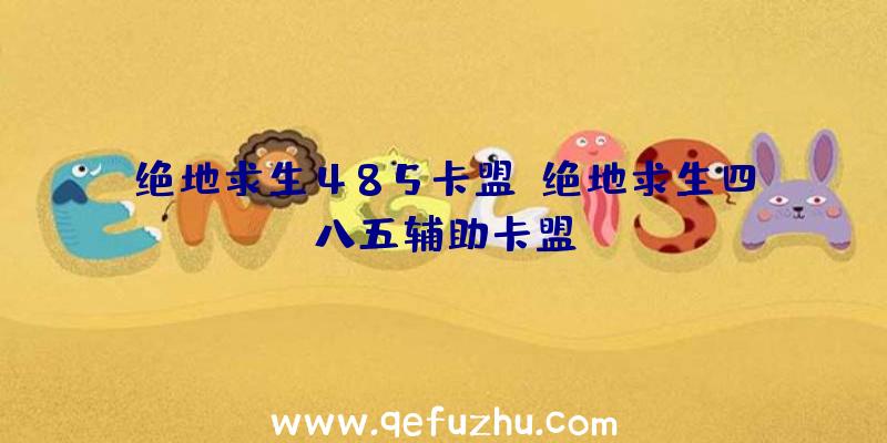 绝地求生485卡盟、绝地求生四八五辅助卡盟