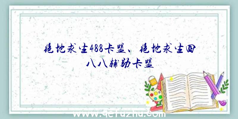 绝地求生488卡盟、绝地求生四八八辅助卡盟