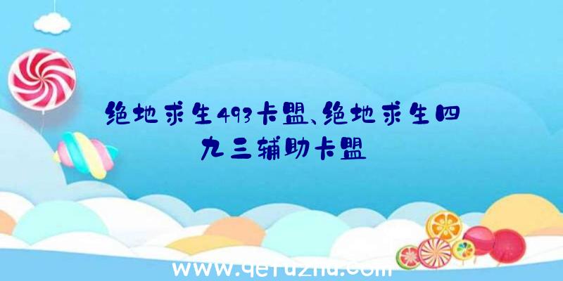 绝地求生493卡盟、绝地求生四九三辅助卡盟