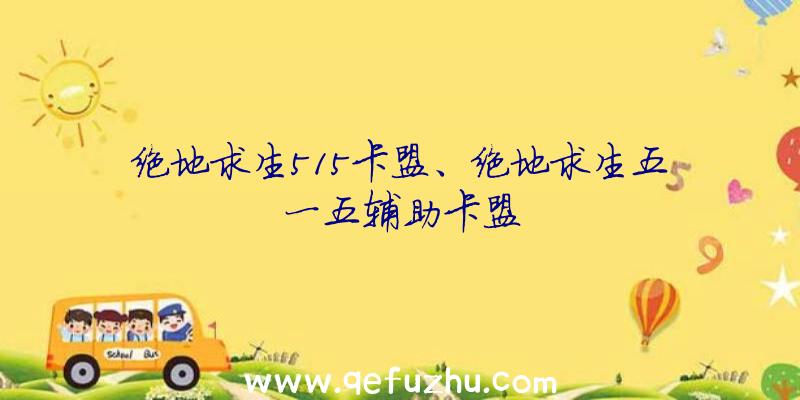 绝地求生515卡盟、绝地求生五一五辅助卡盟