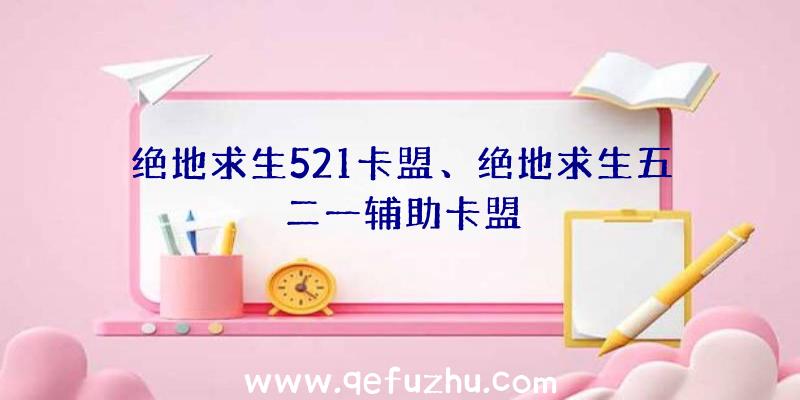 绝地求生521卡盟、绝地求生五二一辅助卡盟