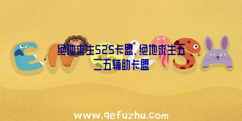 绝地求生525卡盟、绝地求生五二五辅助卡盟