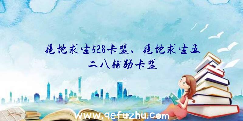 绝地求生528卡盟、绝地求生五二八辅助卡盟