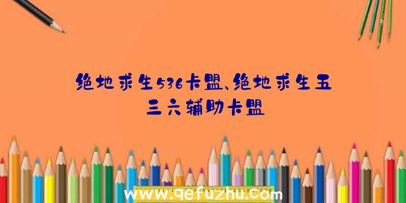 绝地求生536卡盟、绝地求生五三六辅助卡盟