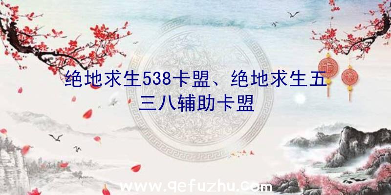 绝地求生538卡盟、绝地求生五三八辅助卡盟