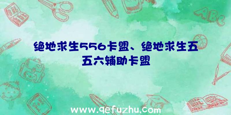 绝地求生556卡盟、绝地求生五五六辅助卡盟