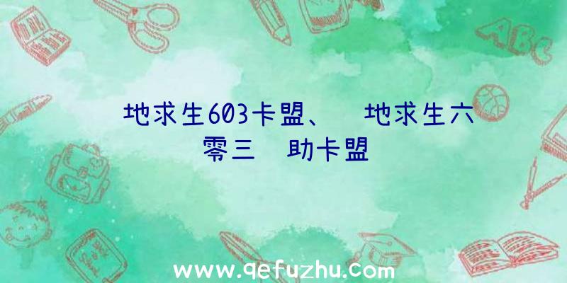 绝地求生603卡盟、绝地求生六零三辅助卡盟