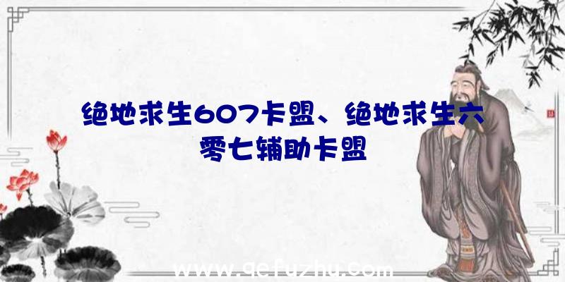 绝地求生607卡盟、绝地求生六零七辅助卡盟