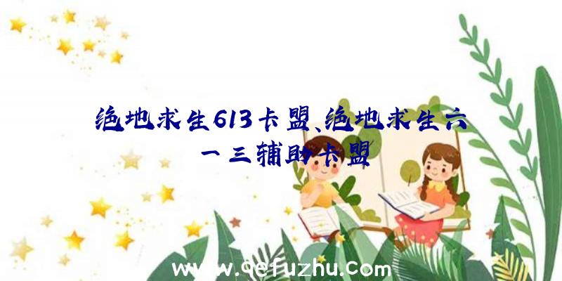 绝地求生613卡盟、绝地求生六一三辅助卡盟