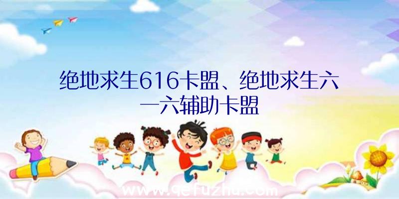 绝地求生616卡盟、绝地求生六一六辅助卡盟