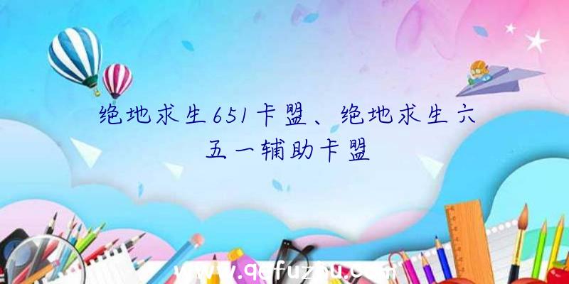 绝地求生651卡盟、绝地求生六五一辅助卡盟