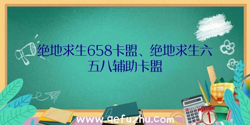 绝地求生658卡盟、绝地求生六五八辅助卡盟