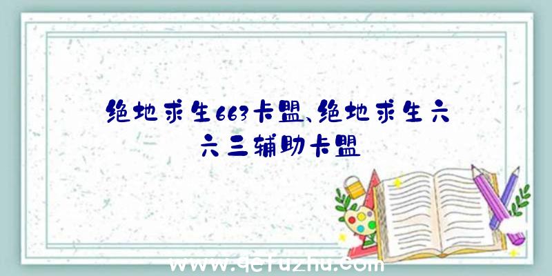 绝地求生663卡盟、绝地求生六六三辅助卡盟