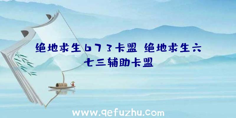 绝地求生673卡盟、绝地求生六七三辅助卡盟