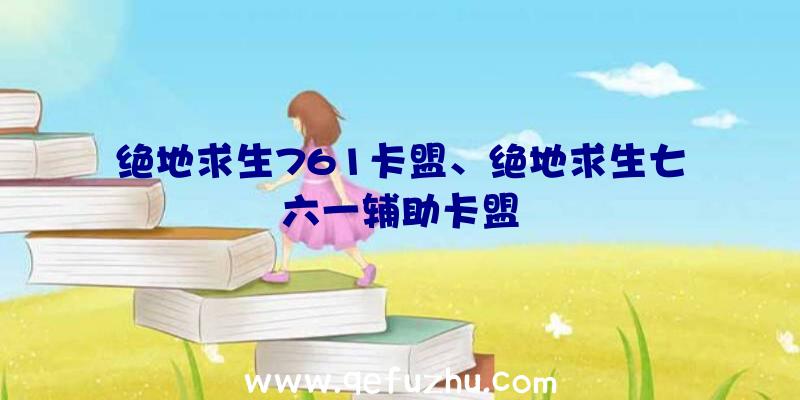 绝地求生761卡盟、绝地求生七六一辅助卡盟